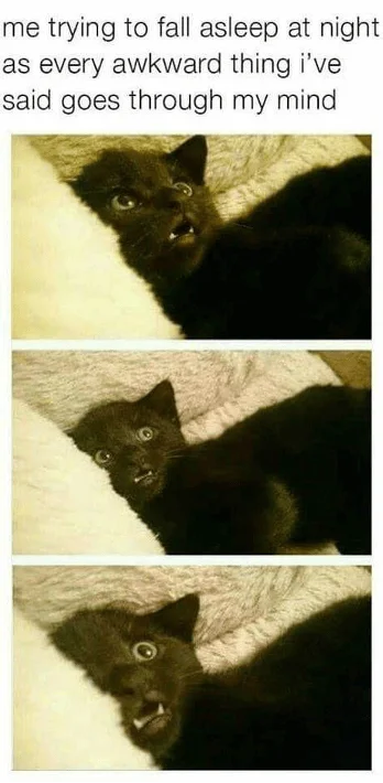 Funny Awkward meme of cat