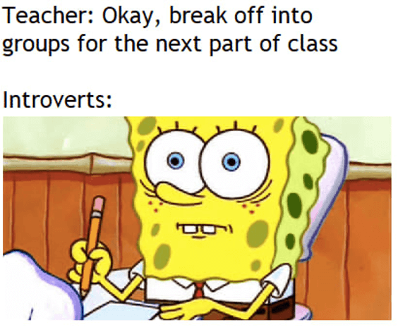 Funny introvert meme on group projects